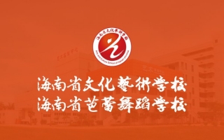 海南省文化艺术学校