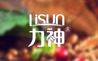 海口力神企业股份有限公司