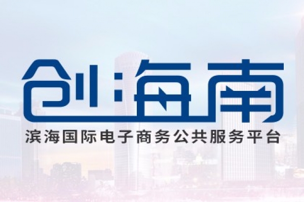 滨海国际电子商务公共服务平台（创海南）