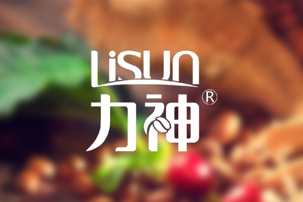 海口力神企业股份有限公司