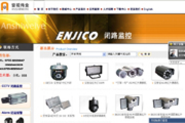 深圳市安视伟业电子有限公司