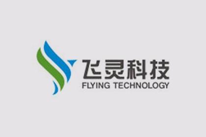 海南飞灵信息科技有限公司