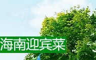 海南迎宾菜