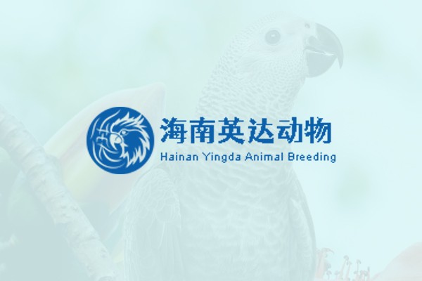 海南英达动物养殖有限公司